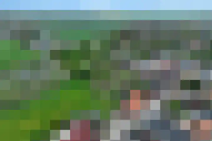 Bernhardlaan 7 Oostwold thumbnail 43