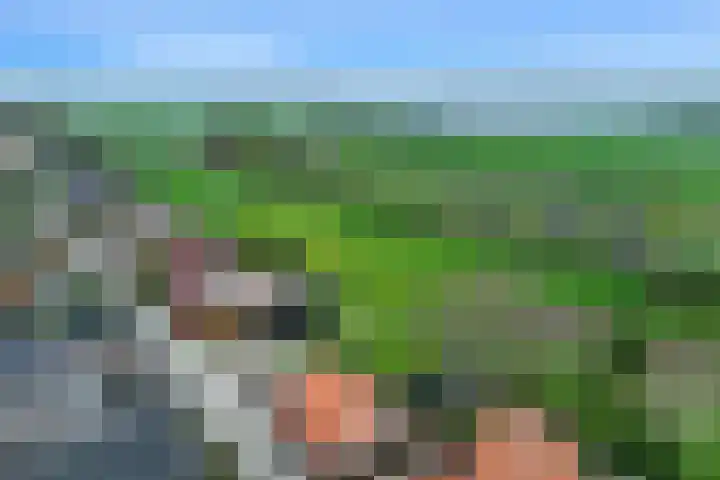 Bernhardlaan 7 Oostwold thumbnail 6