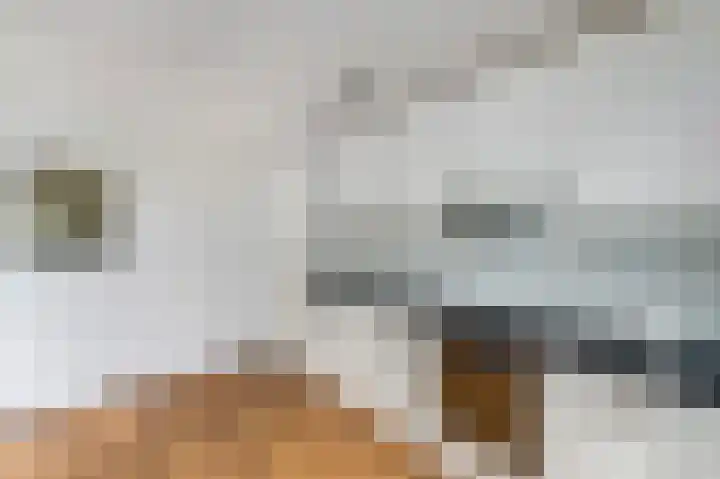 Bernhardlaan 83 Wolvega thumbnail 10