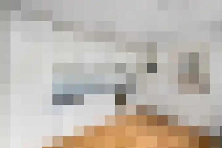 Bernhardlaan 83 Wolvega thumbnail 11