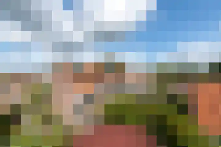 Bernhardlaan 83 Wolvega thumbnail 29