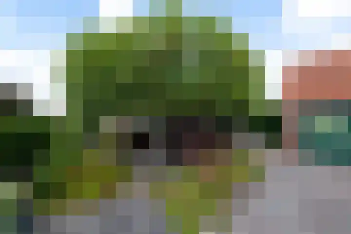 Bernhardlaan 83 Wolvega thumbnail 34