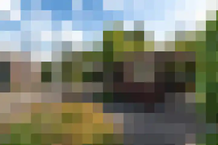 Bernhardlaan 83 Wolvega thumbnail 35