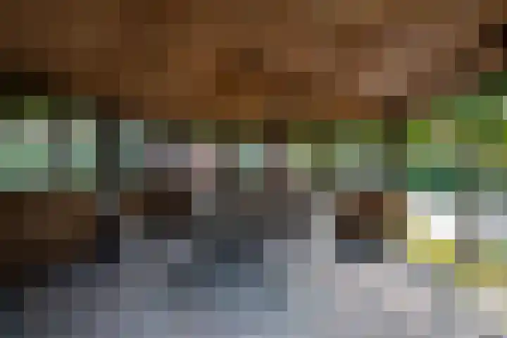 Bernhardlaan 83 Wolvega thumbnail 36