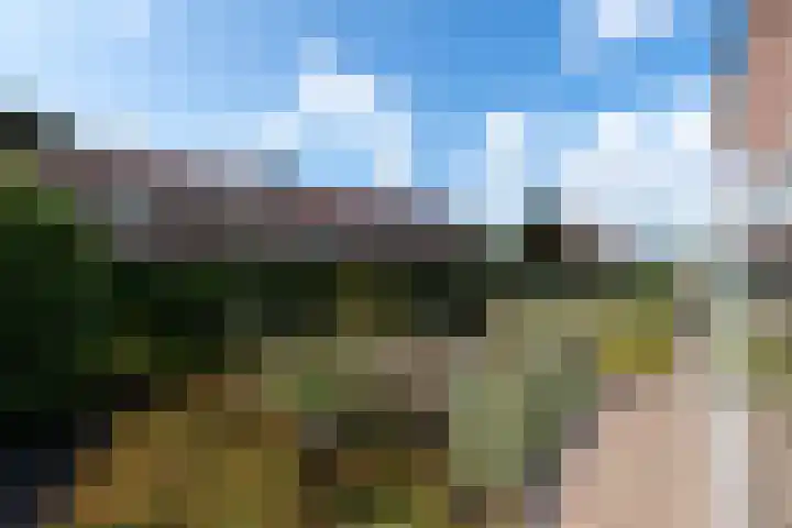 Bernhardlaan 83 Wolvega thumbnail 39