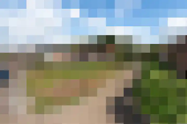 Bernhardlaan 83 Wolvega thumbnail 45