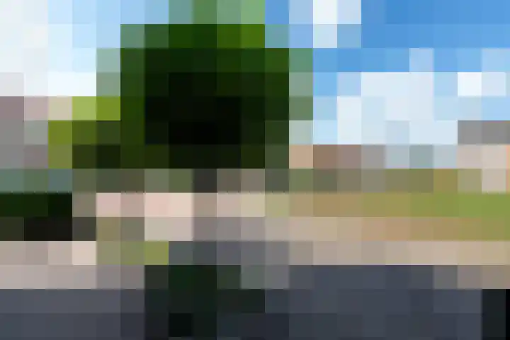 Bernhardlaan 83 Wolvega thumbnail 47