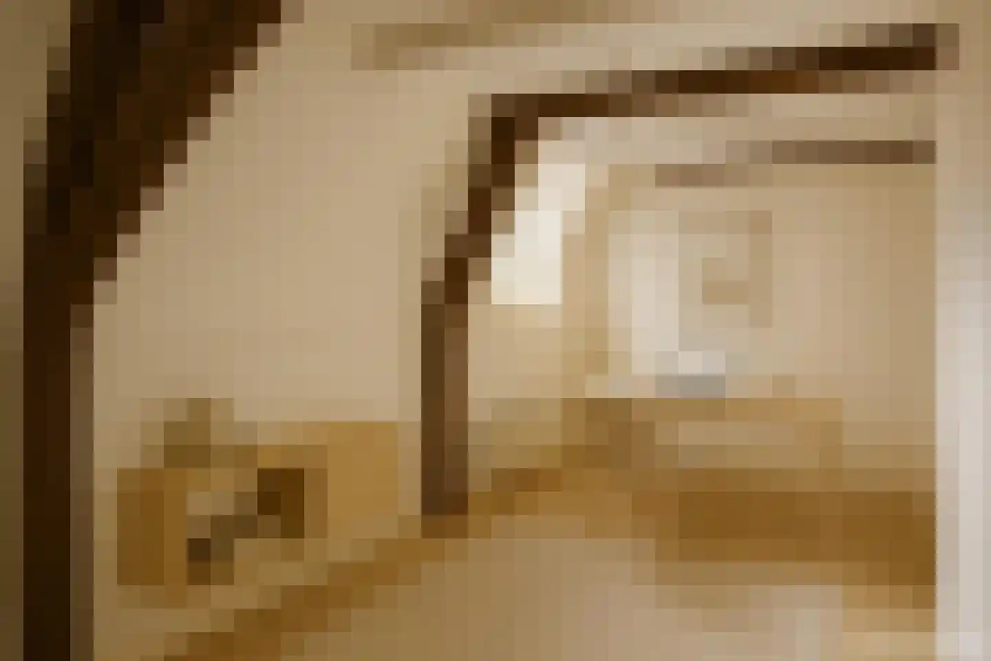 Bernhardsteeg 2 Zutphen thumbnail 17
