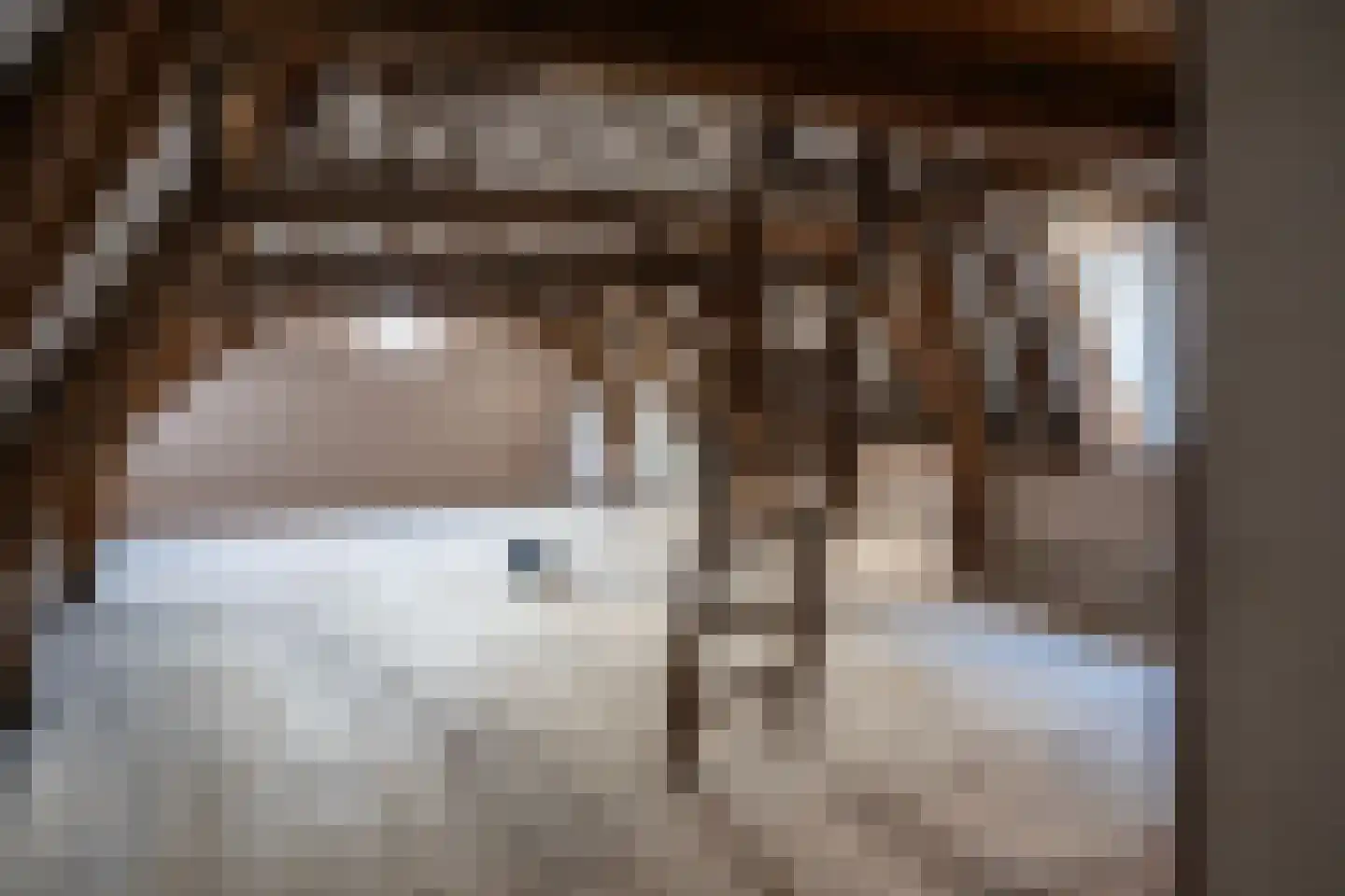 Bernhardsteeg 2 Zutphen thumbnail 19
