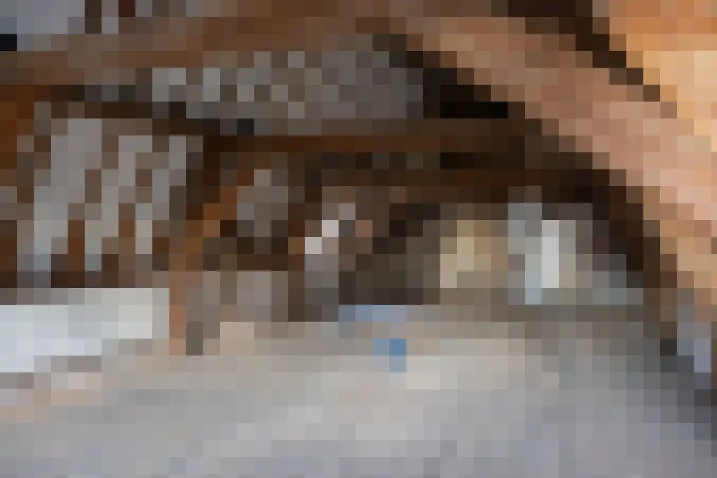Bernhardsteeg 2 Zutphen thumbnail 21