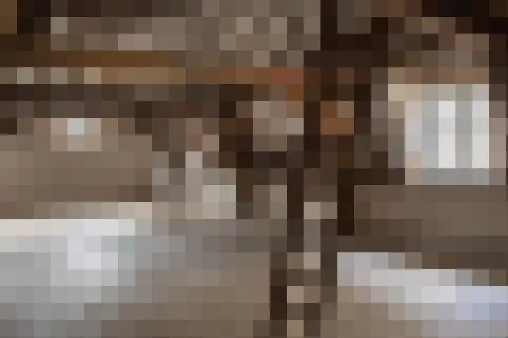 Bernhardsteeg 2 Zutphen thumbnail 23