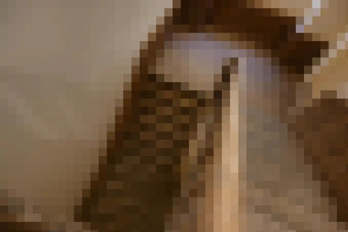 Bernhardsteeg 2 Zutphen thumbnail 25