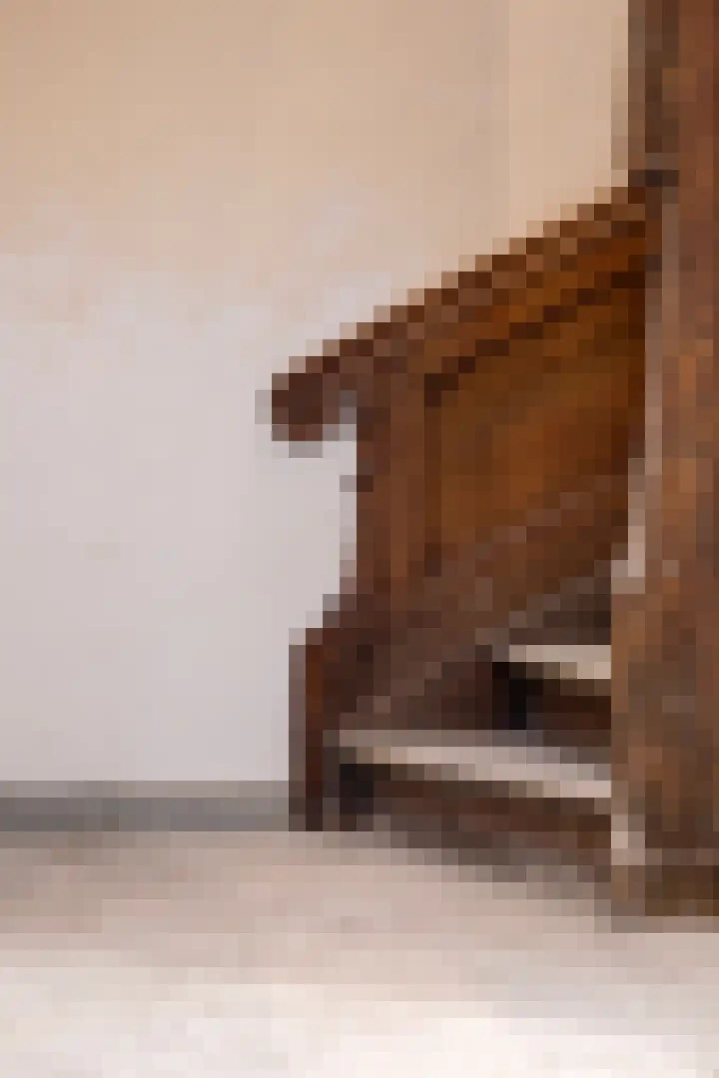 Bernhardsteeg 2 Zutphen thumbnail 26