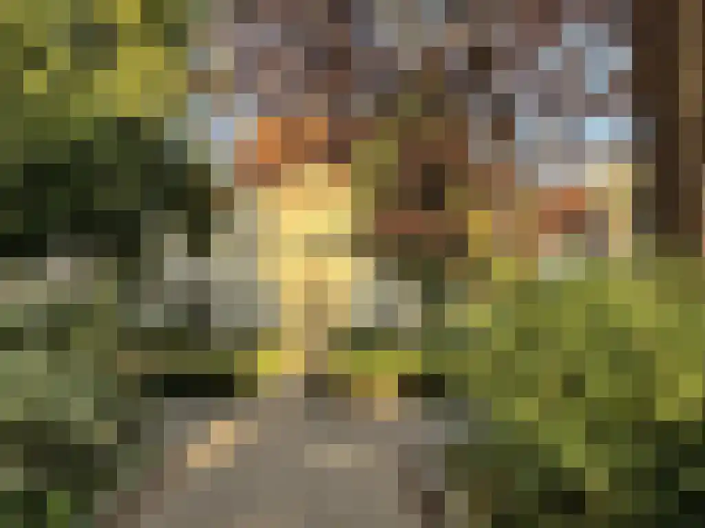 Bernhardsteeg 2 Zutphen thumbnail 34