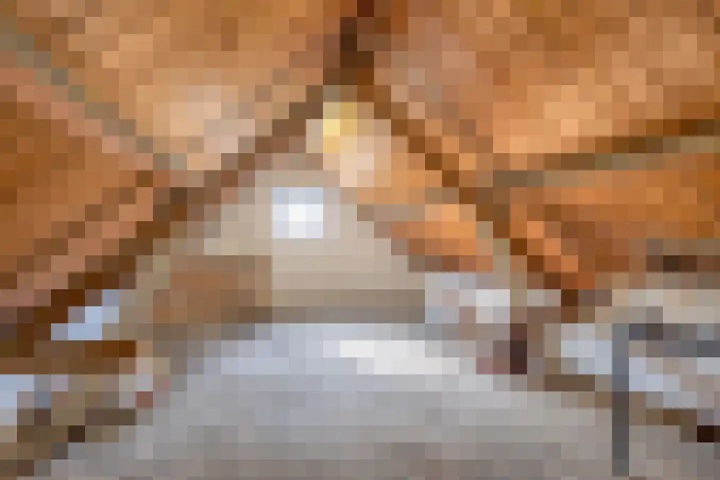 Bernhardstraat 12 Geleen thumbnail 49