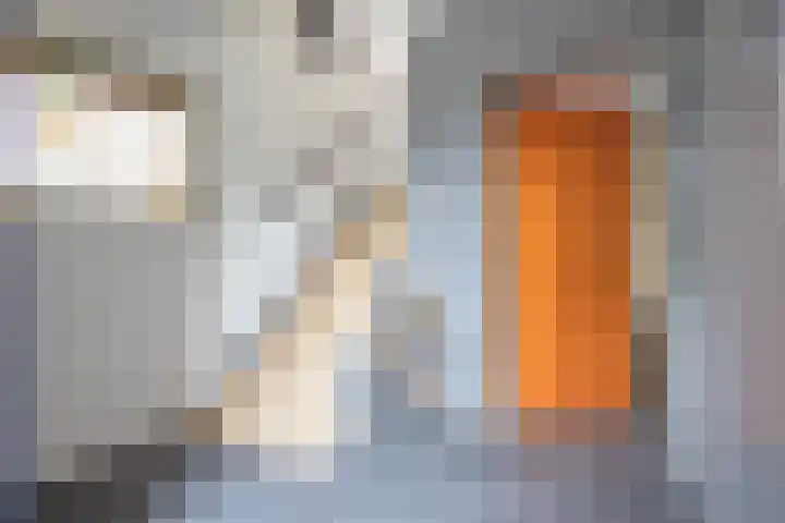 Bernhardstraat 12 Haelen thumbnail 15