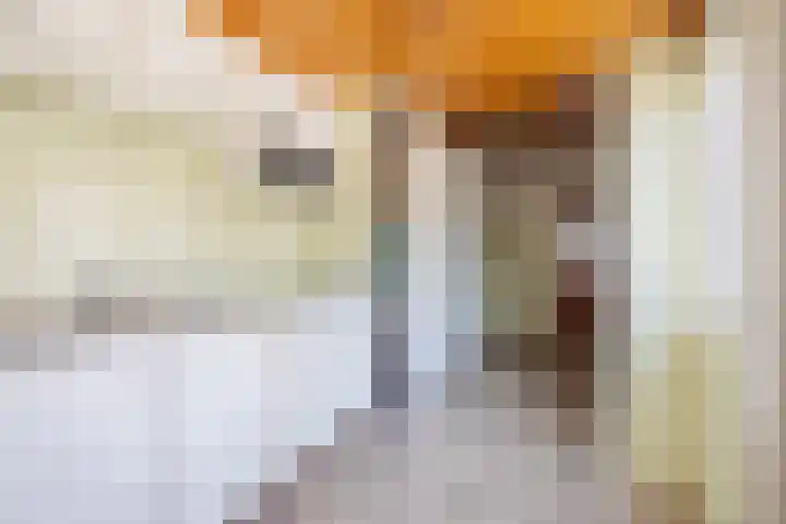 Bernhardstraat 23 De Rijp thumbnail 12