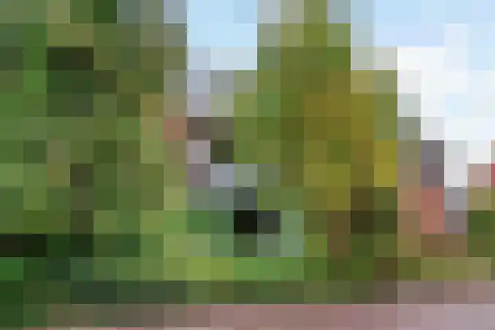 Bernhardstraat 24 Leiderdorp thumbnail 5