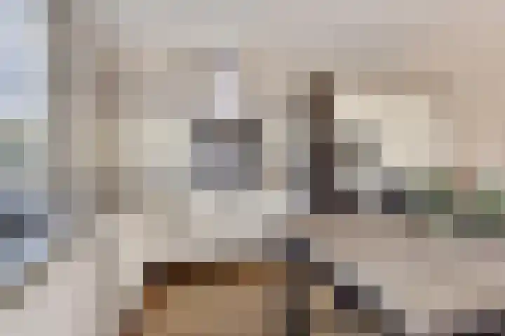 Bernhardstraat 3 Heesch thumbnail 13
