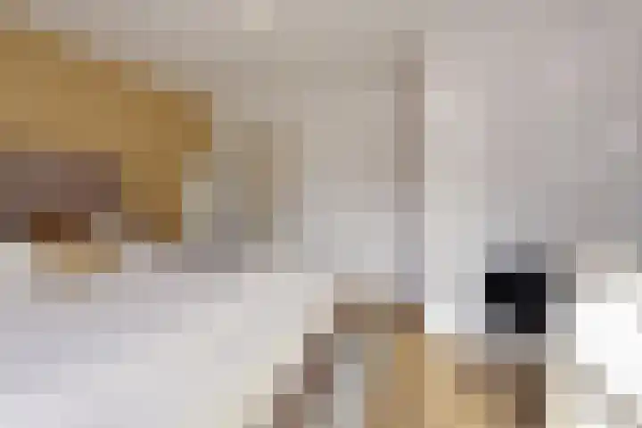 Bernhardstraat 3 Heesch thumbnail 19