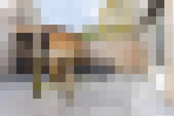 Bernhardstraat 3 Heesch thumbnail 33