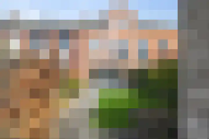 Bernhardstraat 38 Boekel thumbnail 33