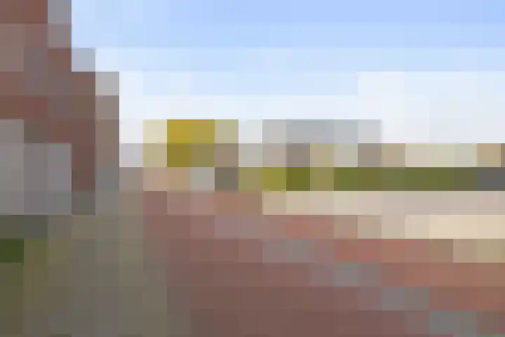 Bernhardstraat 38 Boekel thumbnail 38