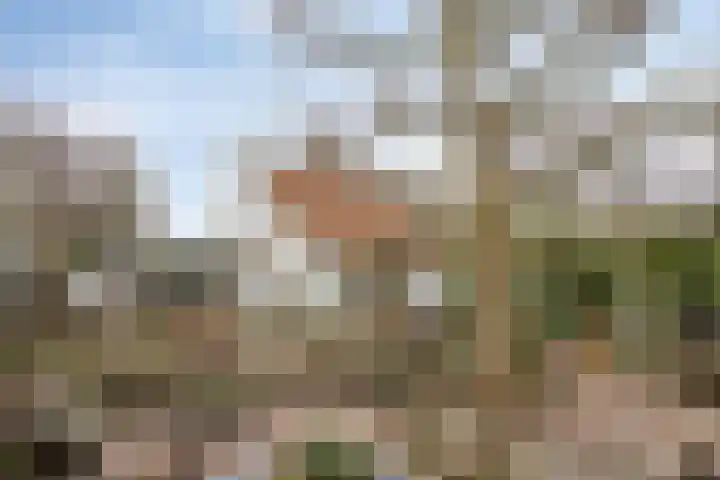 Bernhardstraat 4 Melick thumbnail 19
