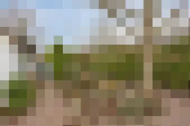Bernhardstraat 4 Melick thumbnail 20
