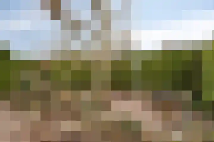 Bernhardstraat 4 Melick thumbnail 21