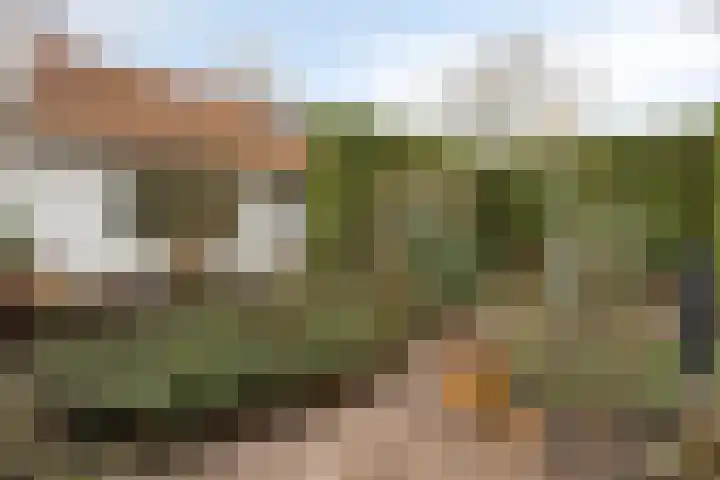 Bernhardstraat 4 Melick thumbnail 23