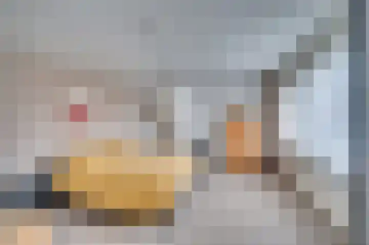 Bernhardstraat 42 Velden thumbnail 21