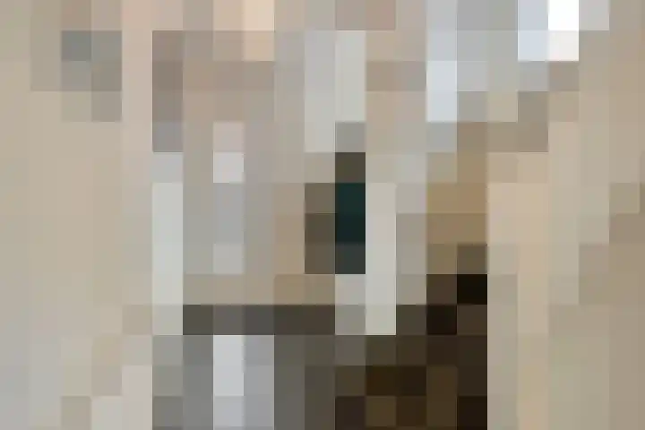 Bernhardstraat 5 Haelen thumbnail 15