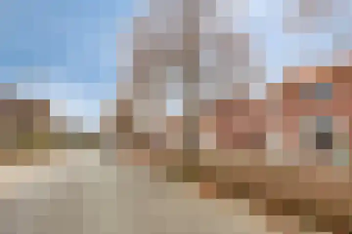 Bernhardstraat 5 Haelen thumbnail 31