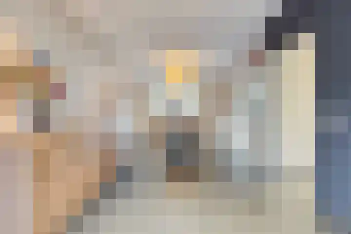 Bernhardstraat 5 Haelen thumbnail 4