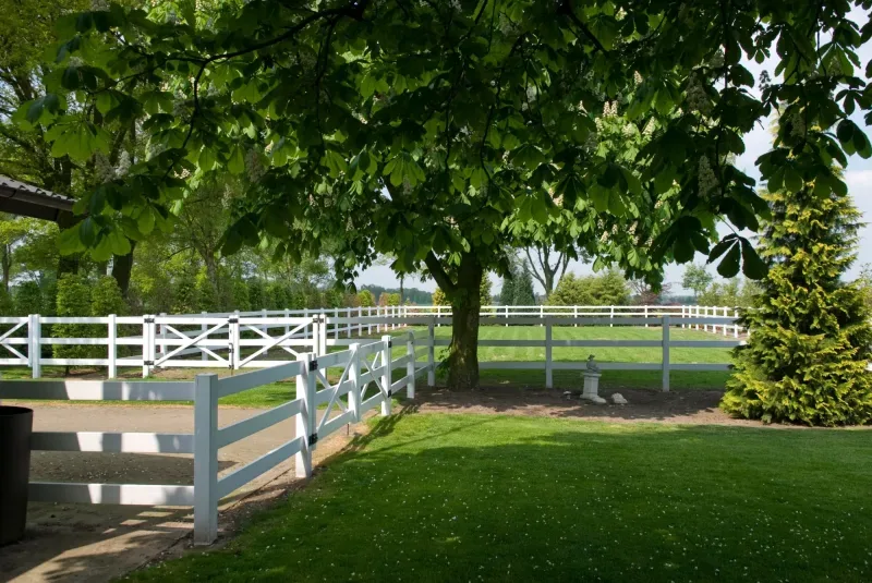 Bürofoto von Bernheze Makelaars