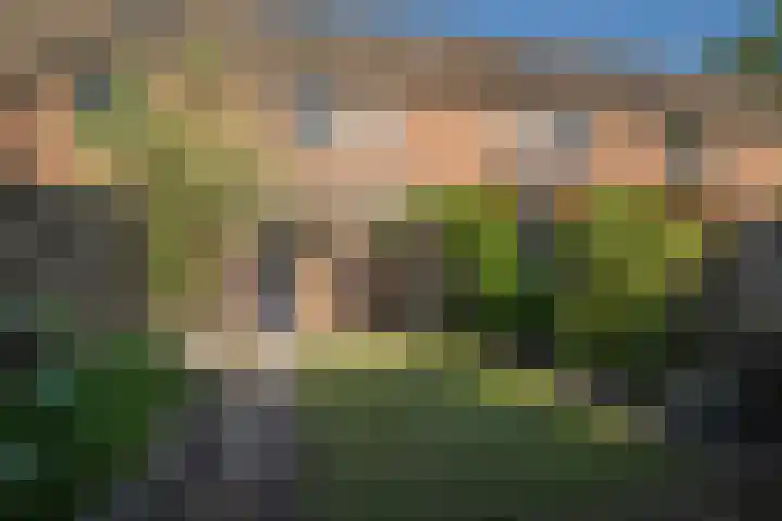 Berninkholthoek 43 Enschede thumbnail 4