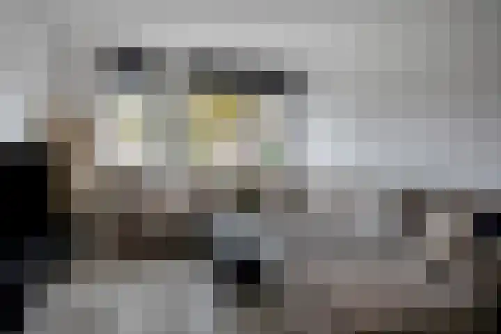 Berninkholthoek 44 Enschede thumbnail 4