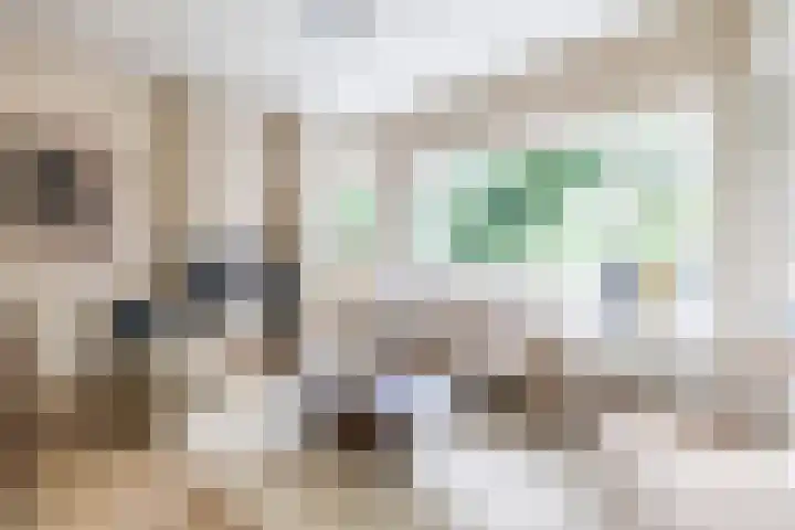 Bernoulliplein 26 Groningen thumbnail 10