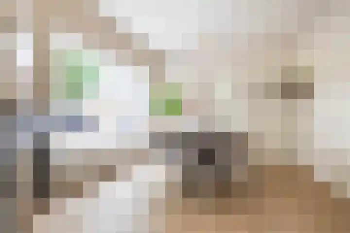 Bernoulliplein 26 Groningen thumbnail 16