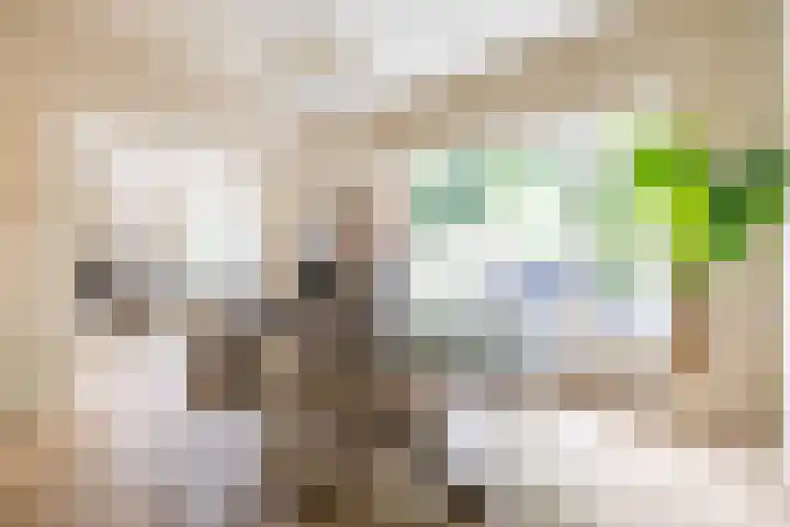 Bernoulliplein 26 Groningen thumbnail 17