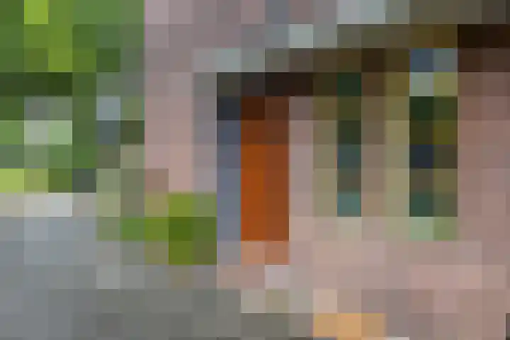 Bernoulliplein 26 Groningen thumbnail 4