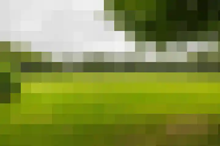 Bernoulliplein 26 Groningen thumbnail 40