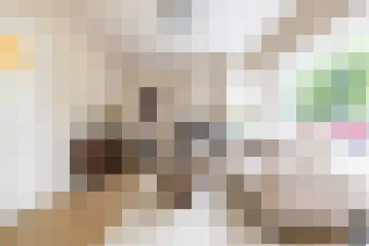 Bernoulliplein 26 Groningen thumbnail 9