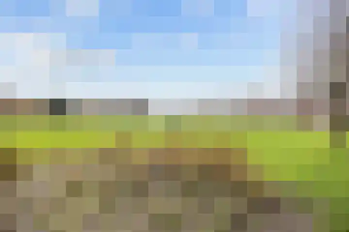 Bernoulliplein 35 a Groningen thumbnail 4