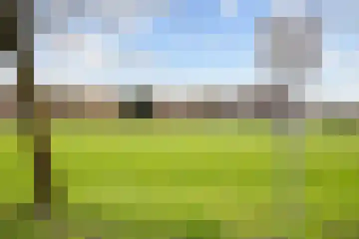 Bernoulliplein 35 a Groningen thumbnail 41