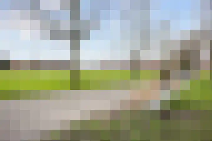 Bernoulliplein 35 a Groningen thumbnail 42