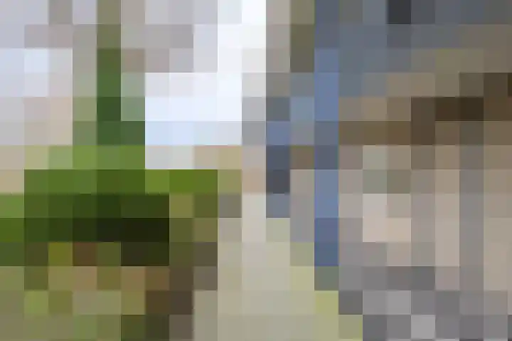 Bernstein 76 Eerbeek thumbnail 21