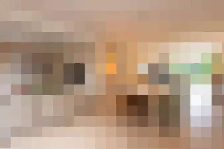 Bernweg 77 Vlaardingen thumbnail 35