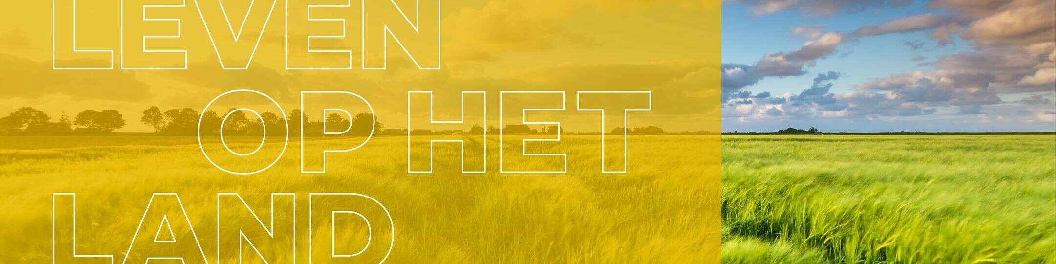 Kantoorfoto Bert Stadman Makelaardij | NVM